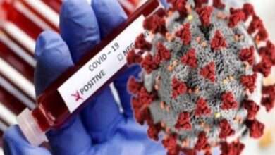 Amalner:कोरोना Update..दिलासादायक...तालुक्यात आज एकही रुग्ण कोरोना बाधित नाही..