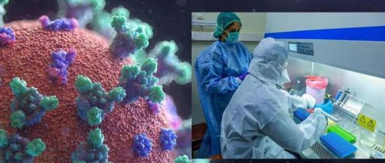 Covid 19: आता ओमियोक्रोन चा लहान बंधू दाखल..!"हा" नवा विषाणू ठरू शकतो घातक..!