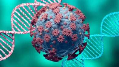 Amalner:कोरोना Update..दिलासादायक...तालुक्यात आज आणि काल एकही रुग्ण कोरोना बाधित आढळून आला नाही..