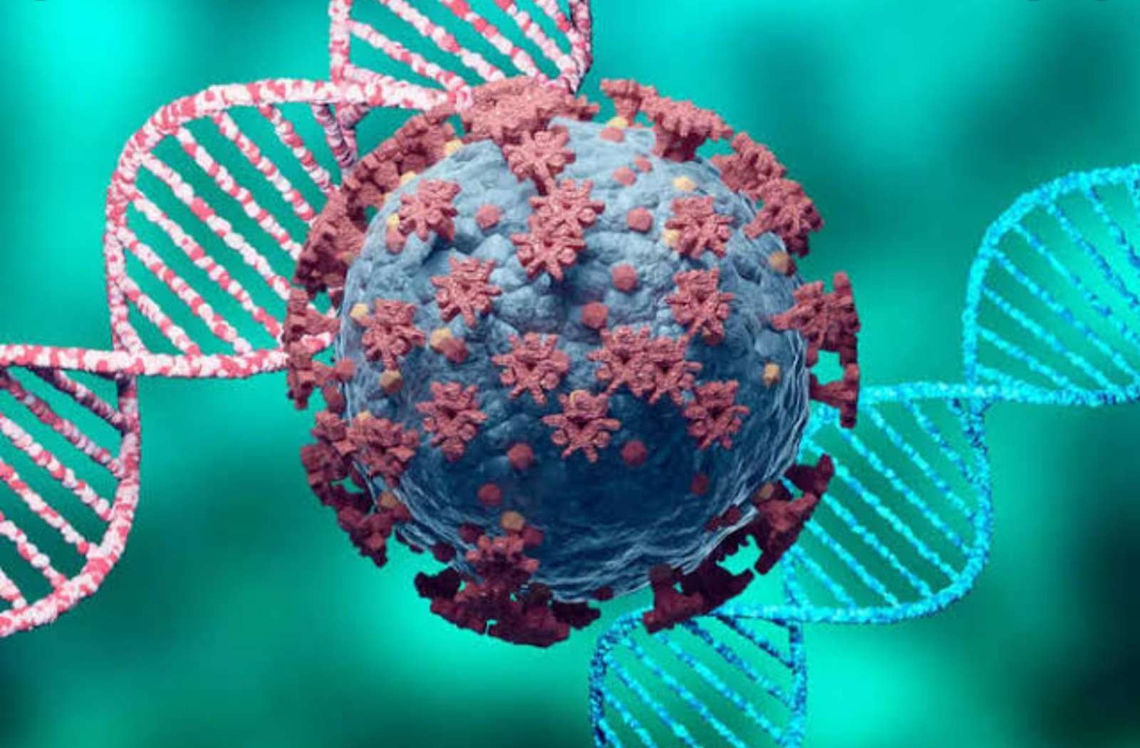 Amalner:कोरोना Update..तालुक्यात आज 03 रुग्ण कोरोना बाधित...!