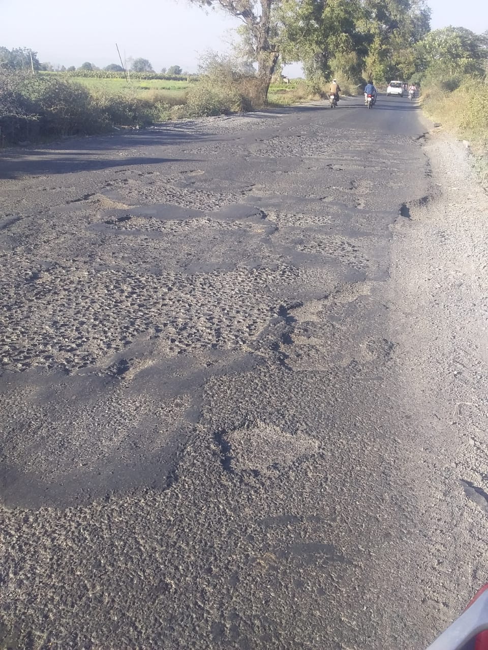 फैजपुर ते भुसावल रस्त्याची दुर्दशा