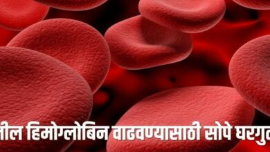 आरोग्याचा मुलमंत्र शरीरातील लोह (हिमोग्लोबिन) वाढवण्यासाठी