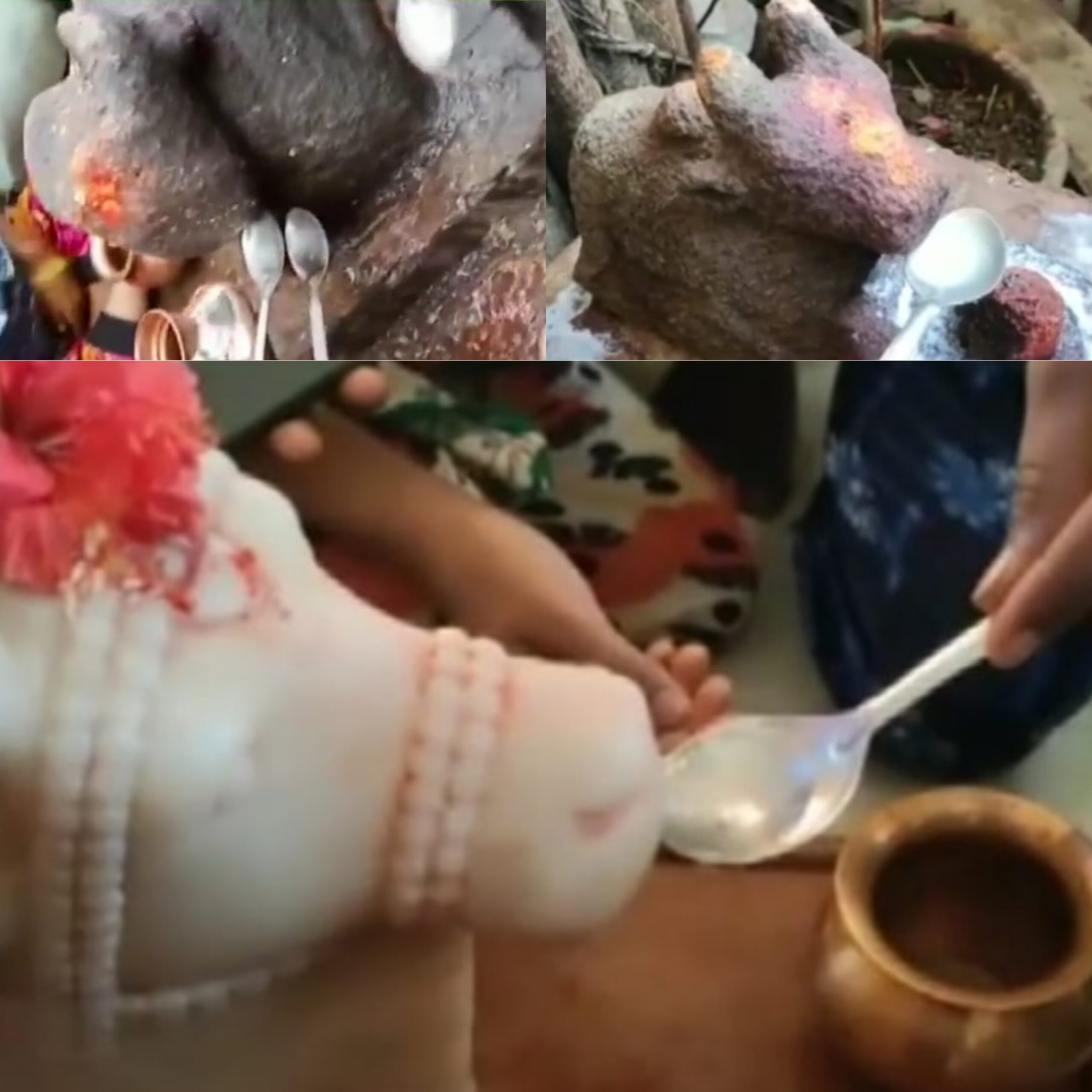 Jalgaon:जिल्ह्यात पाणी पिणाऱ्या नंदी ची चर्चा..! नंदीला पाणी पाजण्यासाठी उसळली गर्दी ...