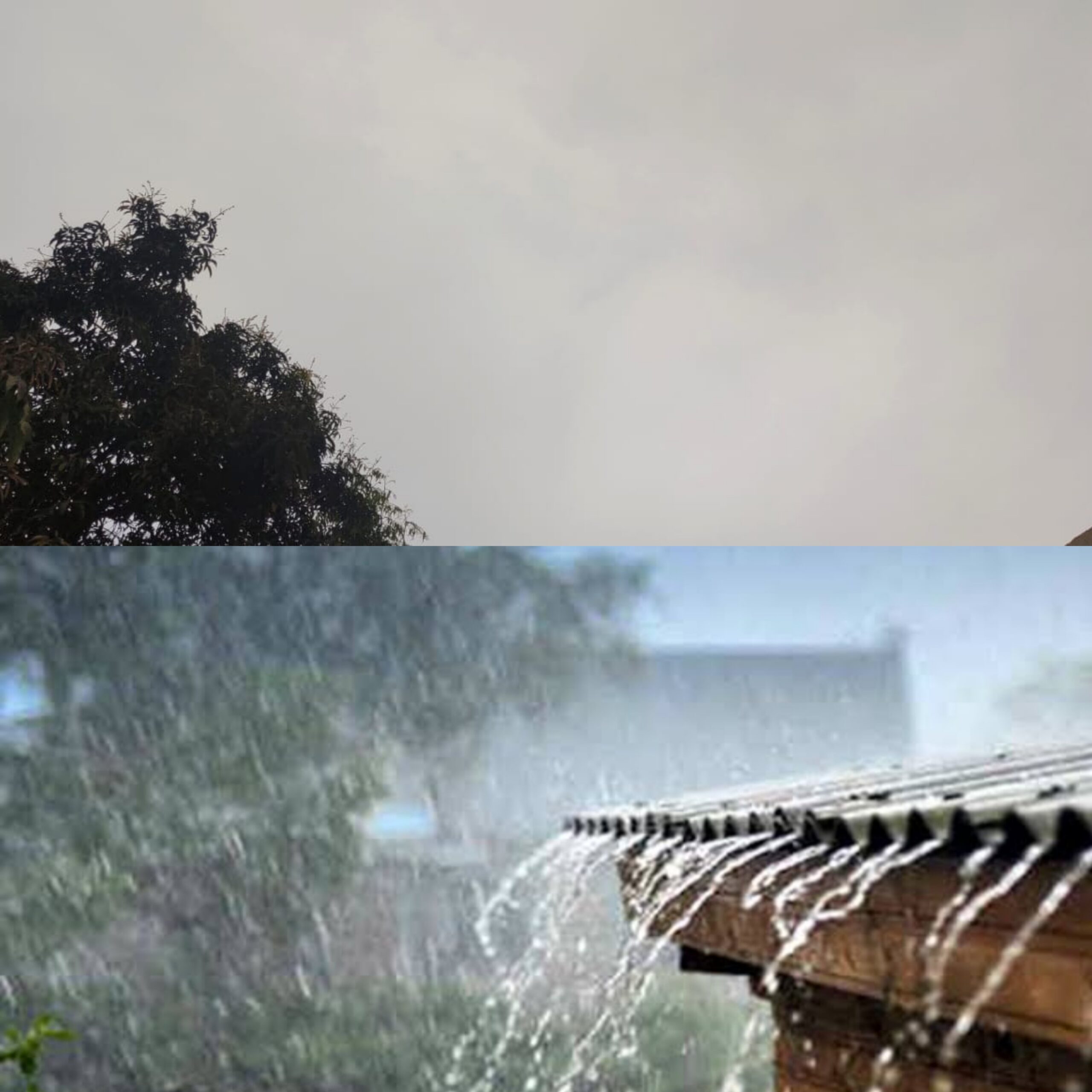 Amalner: अमळनेर सह जिल्ह्यात ढगांच्या गडगडाटासह बेमोसमी पावसा ची हजेरी..बळी राजा अडचणीत..!