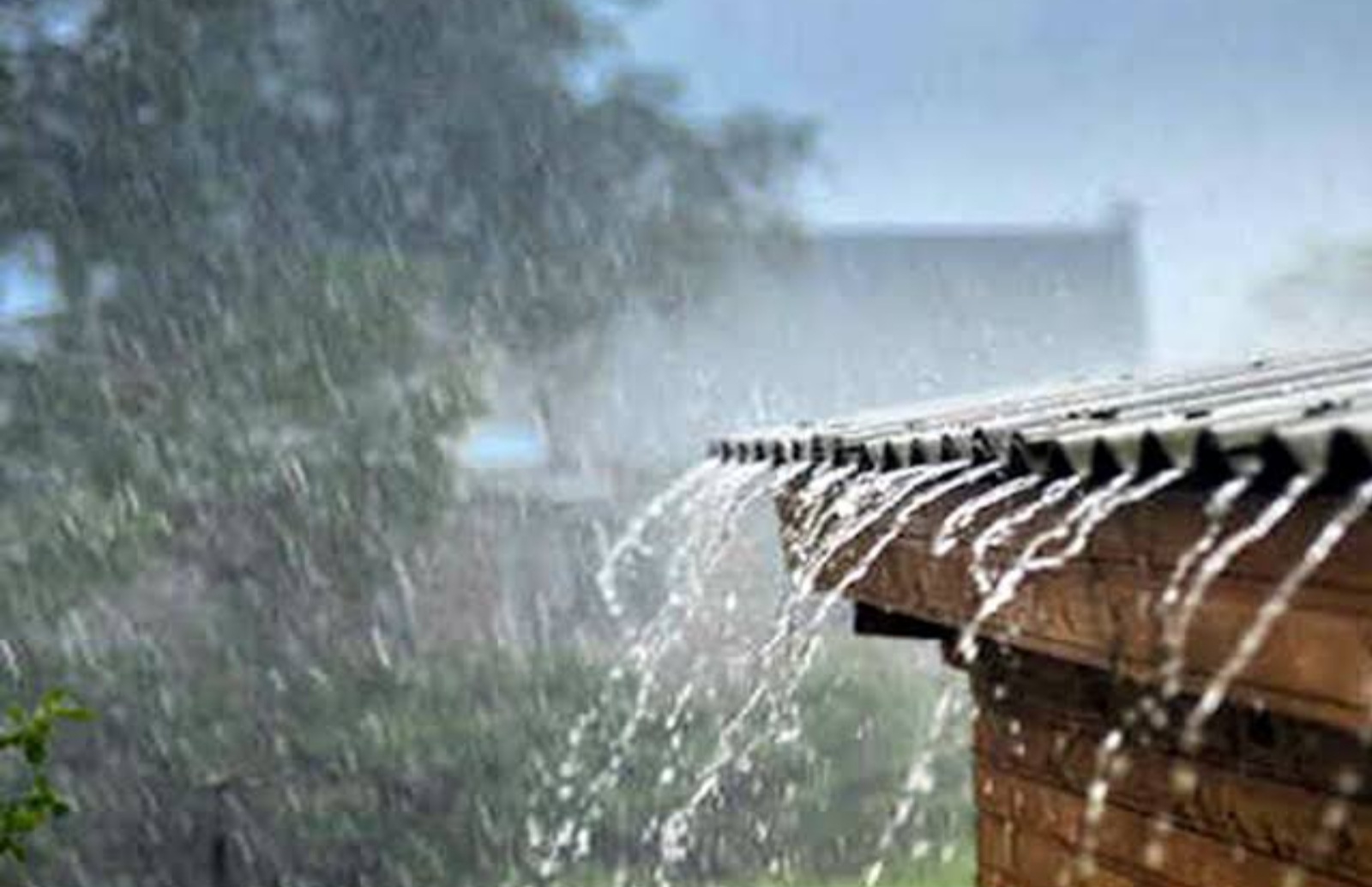 Weather: ह्या चार राज्यात जोरदार पावसाची शक्यता..!थंडीत वाढ....