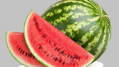आरोग्याचा मुलमंत्र..उन्हाळ्यातील संजीवनी "टरबूज"
