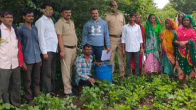 राज्य उत्पादन शुल्क पथकाची धडक कारवाई; हातभट्टीचे अड्डे उध्वस्त करत आरोपिंना घेतले ताब्यात