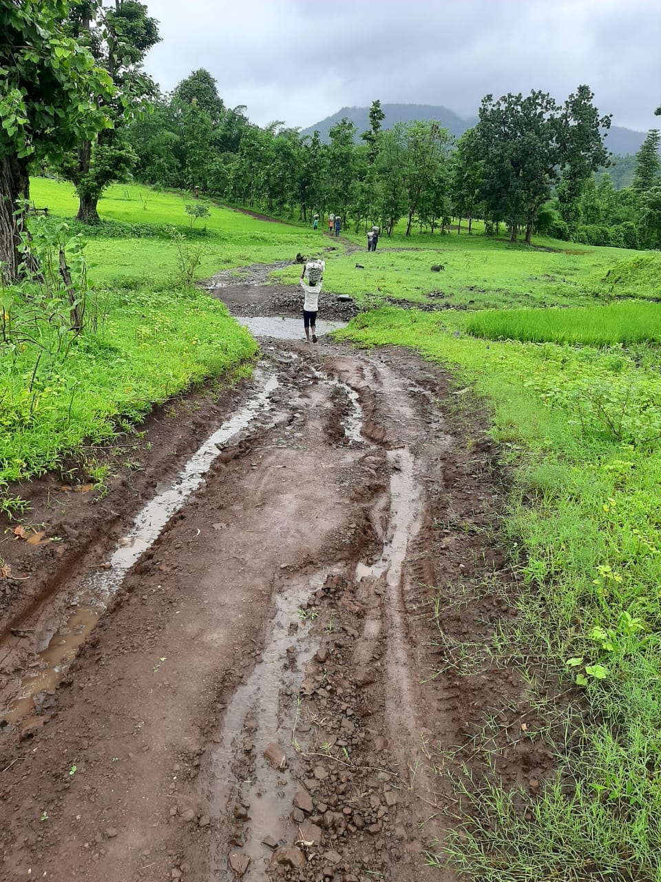 सोयी सुविधा उपलब्ध न झाल्यास येणाऱ्या निवडणूकीत मतदानावर सामुहिक बहिष्कार टाकण्याचा पाच ते सहा पाड्यावरील ग्रामस्थांचा निर्णय.