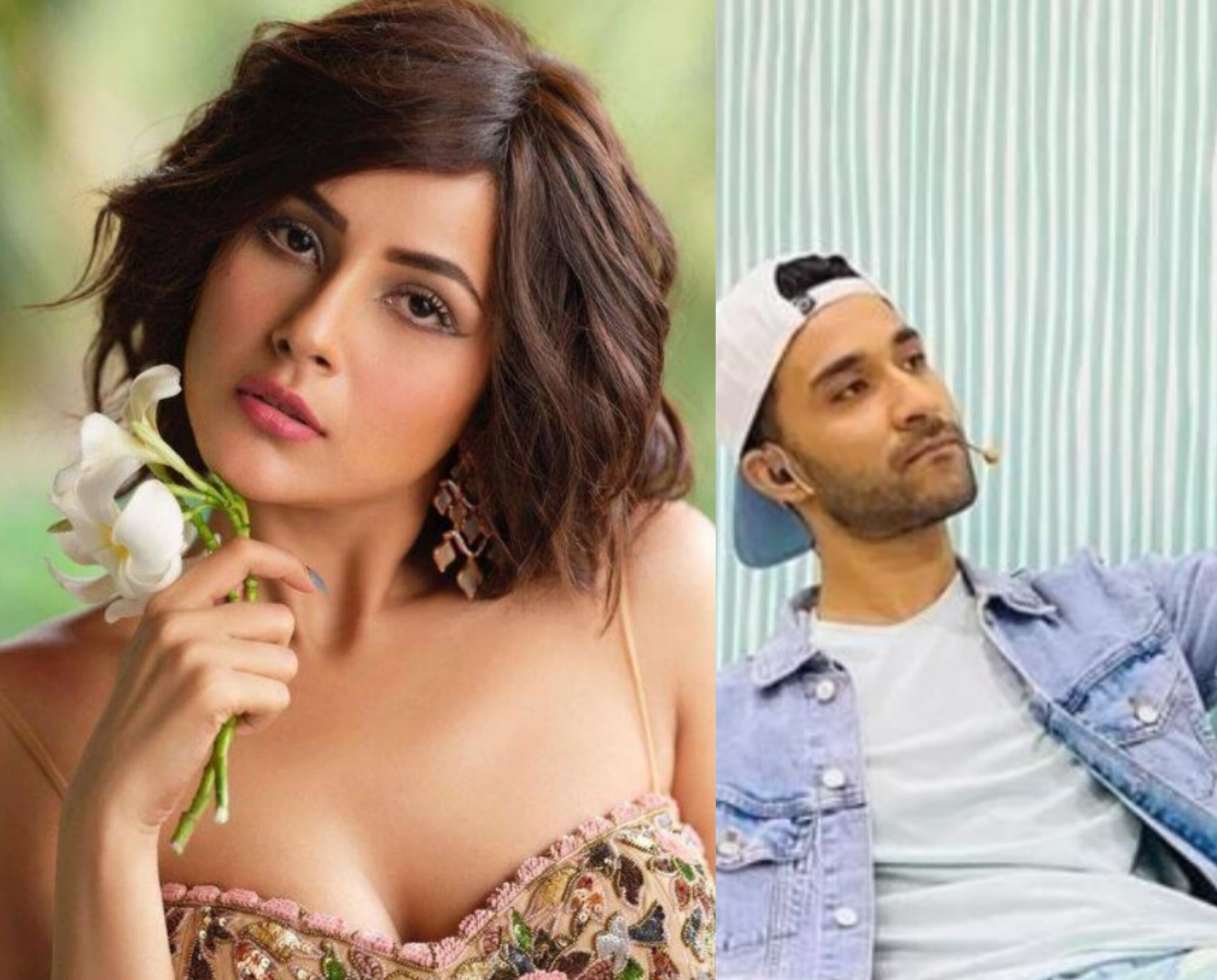 Bollywood: शहनाझ गिल पुन्हा प्रेमात..!पहा या व्यक्ती सोबत करत आहे डेट...