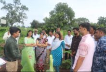 मोठे वाघोदासह परिसरात खासदार रक्षा ताई खडसे व आमदार चंद्रकांत पाटील शेतकऱ्यांच्या बांधावर