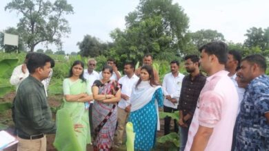 मोठे वाघोदासह परिसरात खासदार रक्षा ताई खडसे व आमदार चंद्रकांत पाटील शेतकऱ्यांच्या बांधावर