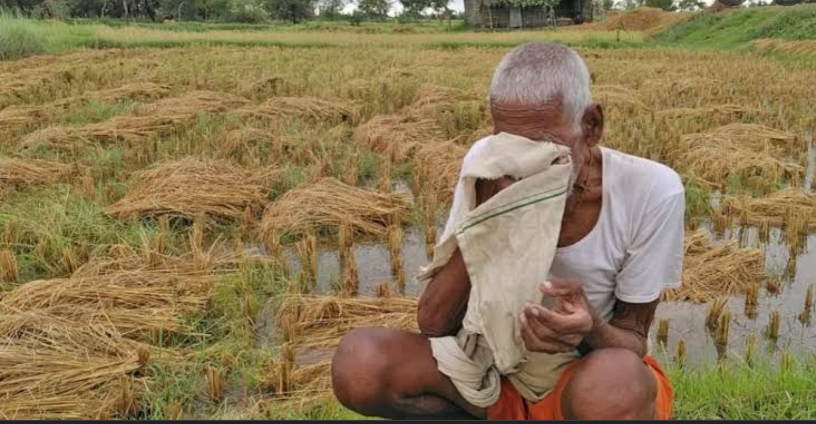 Amalner:तहसिलदार आणि लोकप्रतिनिधींनी अतिवृष्टी चे पंचनामे करावेत व मागील अतिवृष्टीची नुकसान भरपाई शेतकऱ्यांना मिळवून देण्यासाठी प्रशासनाने प्रयत्न करावा..शेतकऱ्यांची मागणी