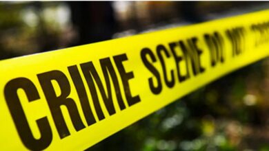 Jalgaon Live: धक्कादायक..मुलाने केला डोक्यात दांडा टाकून सावत्र आईचा खून...