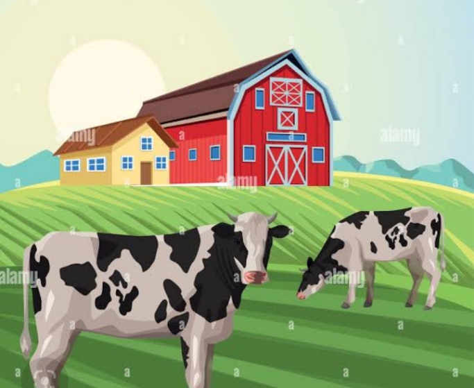 अवैध गोवंशाचे पत्री शेड हटवा:मुस्लिम बांधवांची मागणी!