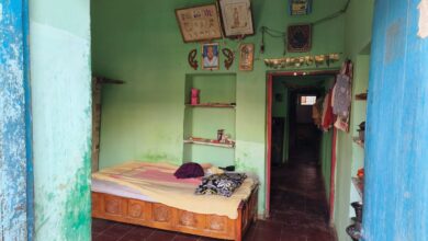 दोन चोरांनी महिलेला एकटं बघून केली घरात चोरी