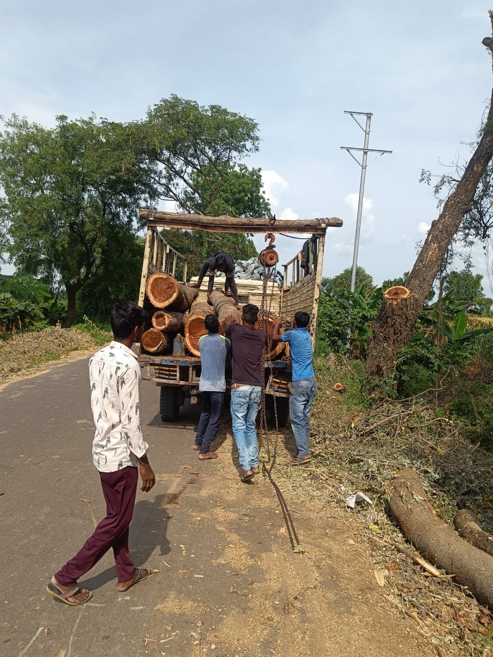 त्या अवैध वृक्षतोड बाबतची चौकशी गुलदस्त्यात का?