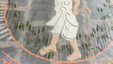 दिंडोरी तालुका कृषी विभागाचे वतीने प्रभात फेरी संपन्न