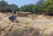 आदिवासी भागातील सर्वच मजूर स्थलांतरित झाल्याने दुचाकीच्या साहाय्याने शिक्षकांने केली भात मळणी.