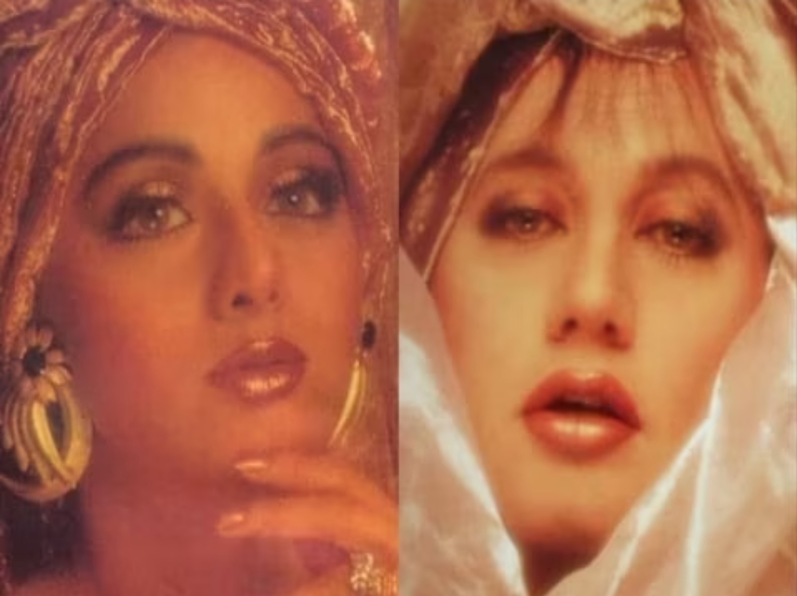 Bollywood: आणि चांदनी... श्रीदेवी आली परत.. की तिची बहीण..!