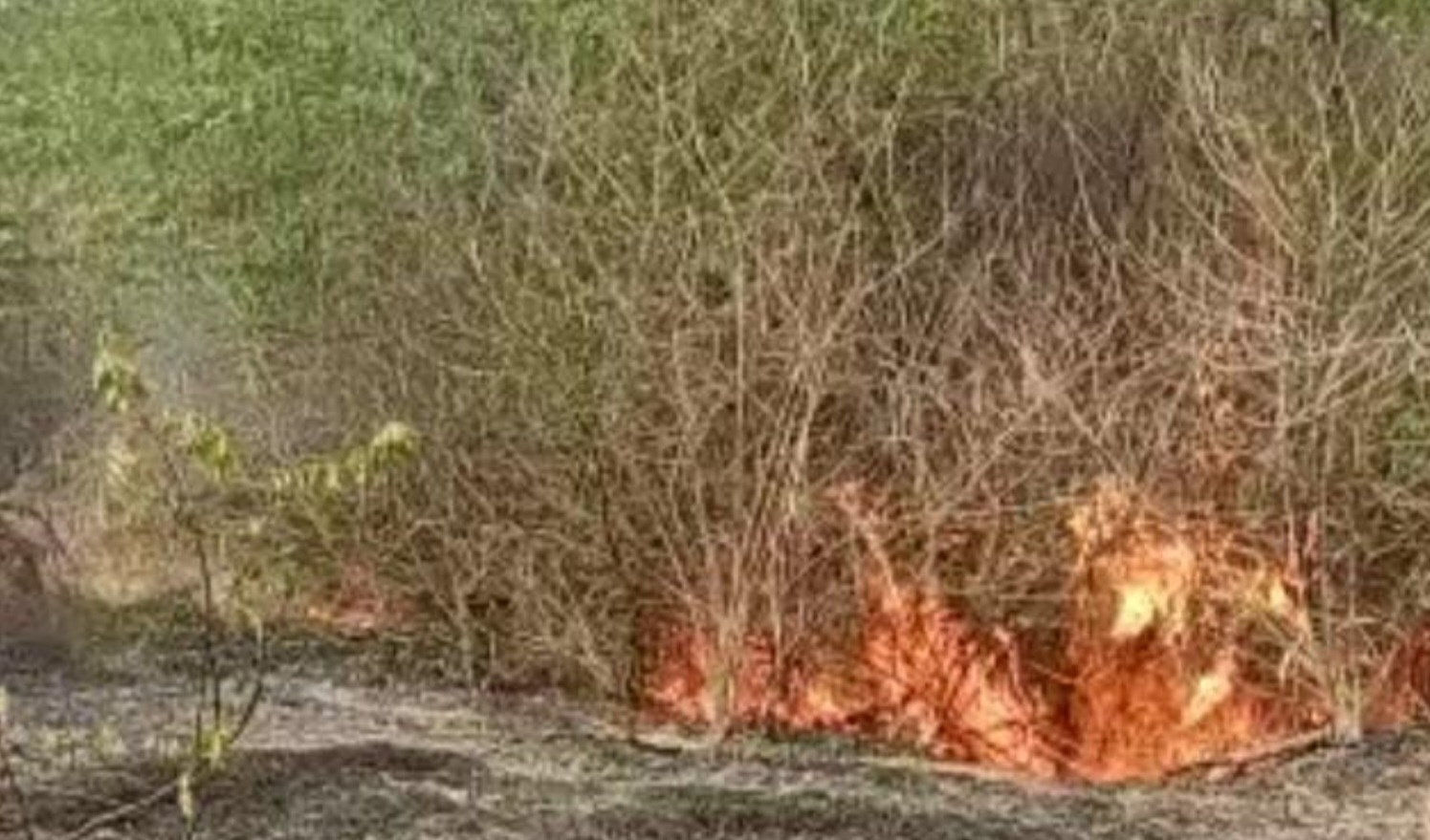 Amalner: उन्हाचा तडाखा... कब्रस्तानला आग...