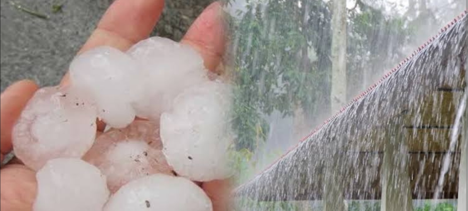 Jalgaon Live: ह्या तारखेपर्यंत जळगांव जिल्ह्याला येलो अलर्ट..! मुसळधार पावसासह गारपीट..!