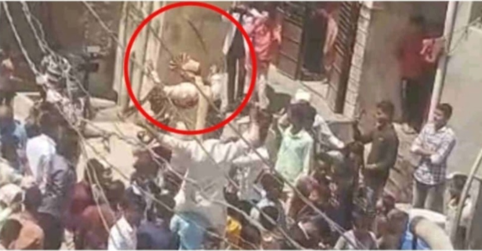 Amalner: हातात तलवार...घोडा... डीजे... आणि नवरदेव..!