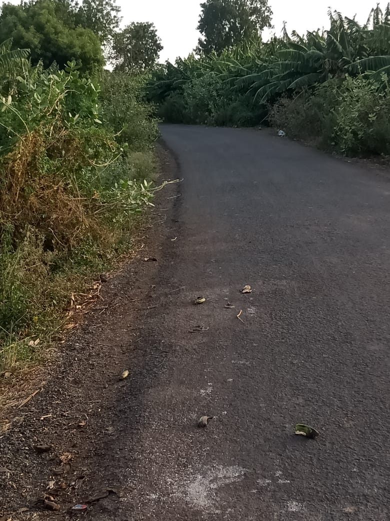 विवरा - उटखेडा लोहारा ते कुसूंबा रस्ता झाडं झुडपांच्या विळख्यात..अपघातांचे प्रमाणही प्रचंड वाढ