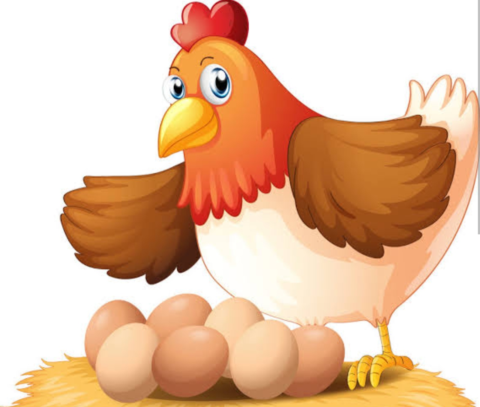 Amazing: कोंबडी आधी की अंडे आधी..? प्रश्नाला कंटाळात ना..मग हे त्याच उत्तर.. अखेर शोध लागला...