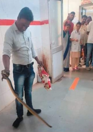 Amalner:ग्रामीण रुग्णालयात निघालेल्या सर्पाला गणेश शिंगारे यांनी दिले जीवदान...