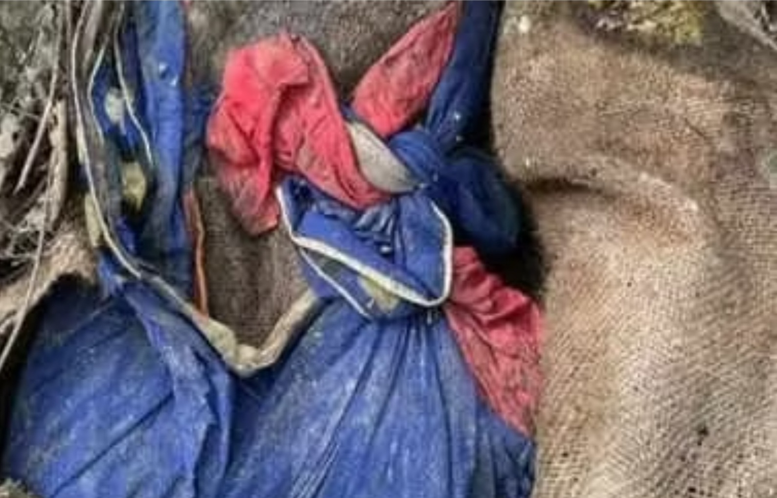 Jalgaon Live: खळळजनक..! हात पाय बांधून पोत्यात आढळला मृतदेह...