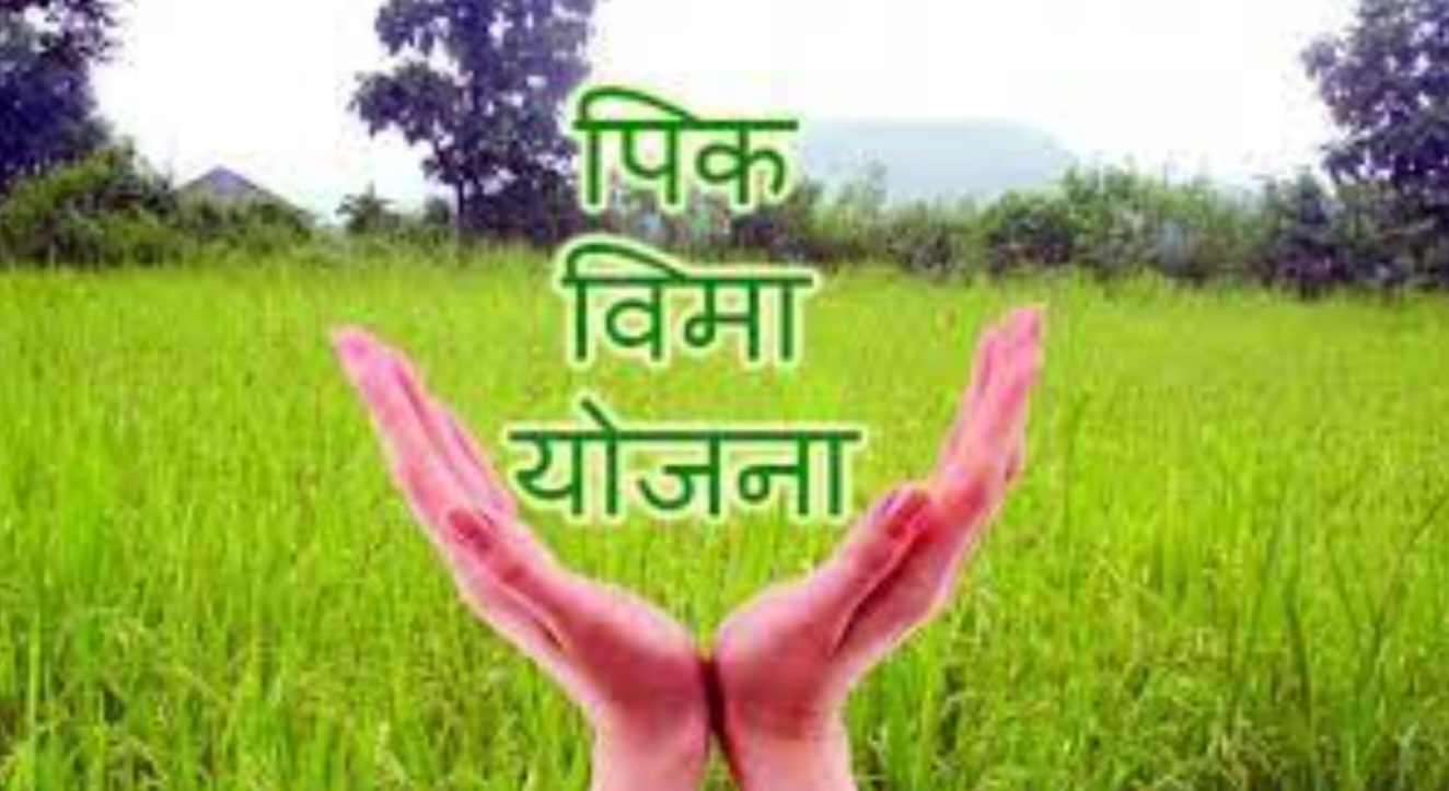 Breaking: पीक विमा भरण्याची मुदत आता 3 ऑगस्ट पर्यंत... आता 1 रू.त भरा अर्ज... असा भरा ऑनलाईन अर्ज... जाणून घ्या पात्रतेचे निकष...