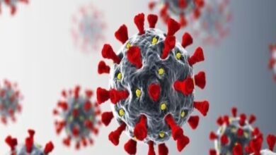 Corona Update: सावधान..! कोरोना नवीन व्हेरियंट एरिसचा पहिला रुग्ण मुंबईत..! एरिसची ही आहेत लक्षणे..