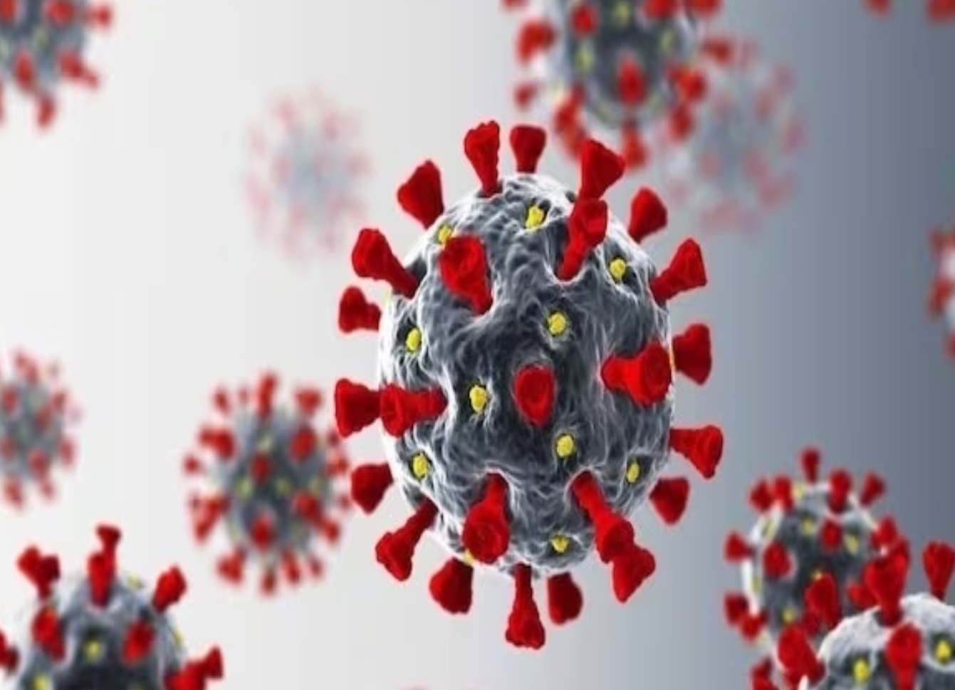 Corona Update: सावधान..! कोरोना नवीन व्हेरियंट एरिसचा पहिला रुग्ण मुंबईत..! एरिसची ही आहेत लक्षणे..