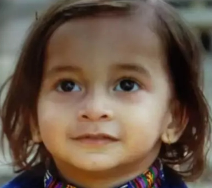 Amalner: दोन वर्षाचा चिमुकला... पिसाळलेले कुत्रे... तोडले लचके.. शहरात भितीचे वातावरण..