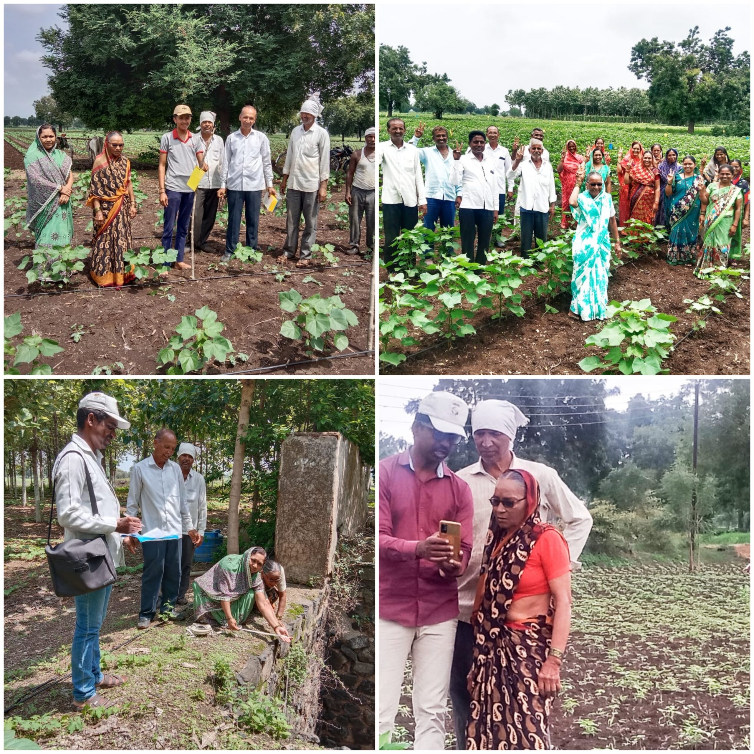 Amalner: मोडून पडला संसार पण मोडला नाही कणा पाठीवरती हात ठेवून 75 वर्षाची विमलबाई पाटील आजी म्हणते सर तुम्ही फक्त लढ म्हणा