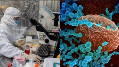 Disease X: बापरे..!कोरोना पेक्षा भयंकर.. पाच कोटी पेक्षा अधिक लोकांना मृत्यूचा धोका..WHO चा इशारा...