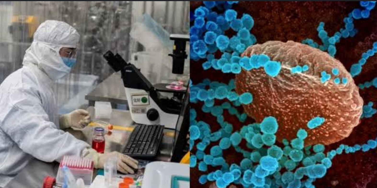 Disease X: बापरे..!कोरोना पेक्षा भयंकर.. पाच कोटी पेक्षा अधिक लोकांना मृत्यूचा धोका..WHO चा इशारा...