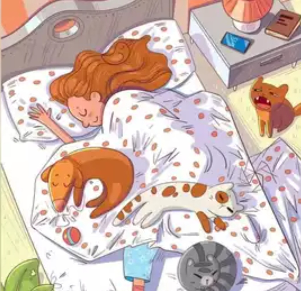 Optical Illussion: चित्रात मुलगी,मांजर दिसतेय..? पण पक्षी दिसला का..? चला तर मग शोधा..