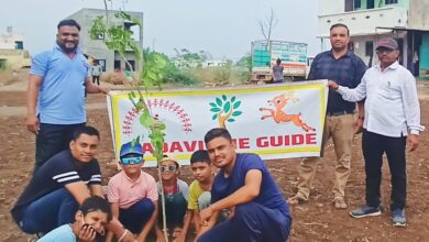 तडवी द गाईड सामाजिक संस्थेचा स्तुत्य उपक्रम अविरत ६ वर्षापासून करतायेत वृक्षारोपण