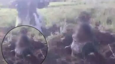 Shocking: वाद जमिनीचा पण तरुणीला जमिनीत गाडले...