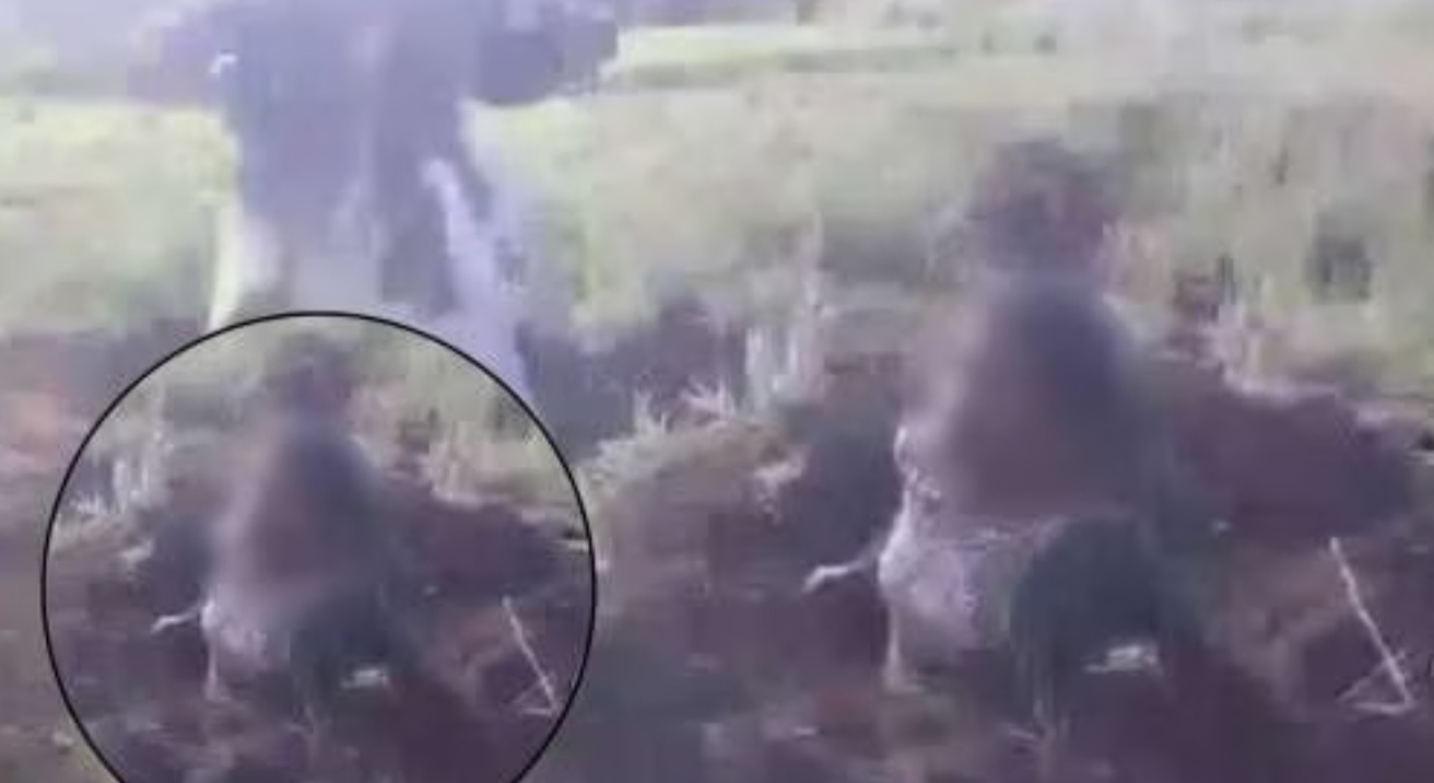 Shocking: वाद जमिनीचा पण तरुणीला जमिनीत गाडले...