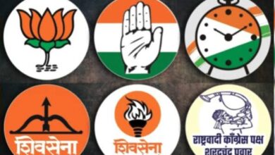 Loksabha Election 2024: पक्ष निहाय विजयी उमेदवारांची यादी...