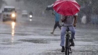 Jalgaon Live : पाऊस आला पाऊस आला...!जळगावसह राज्यात अनेक ठिकाणी पावसाची हजेरी...