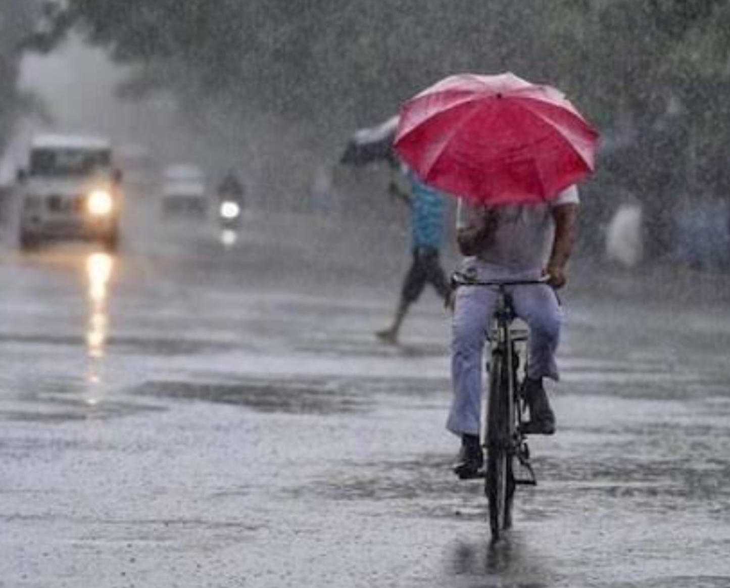 Jalgaon Live : पाऊस आला पाऊस आला...!जळगावसह राज्यात अनेक ठिकाणी पावसाची हजेरी...