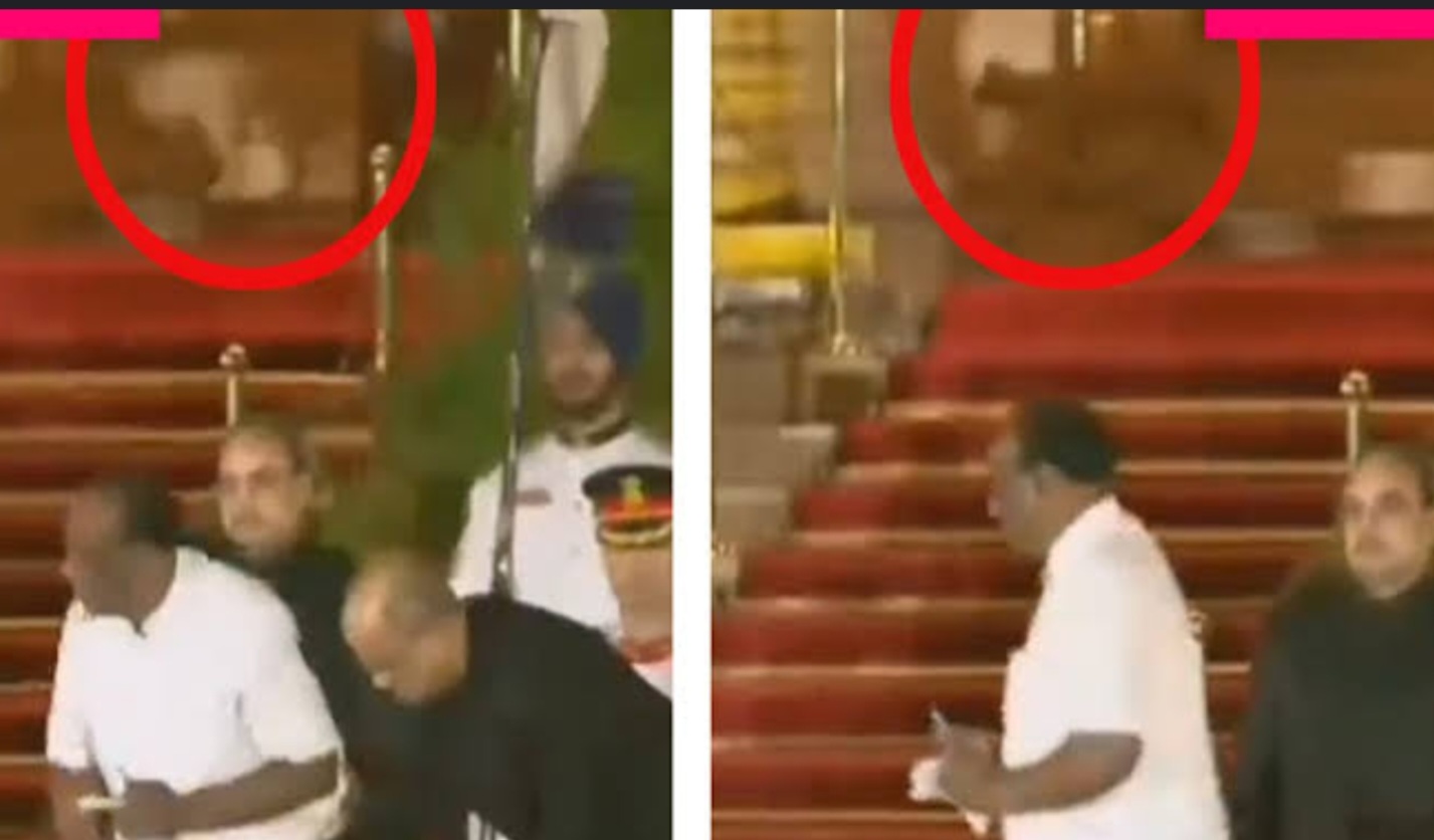 3.0 Update: अरे बापरे..राष्ट्रपती भवनात शपथविधीदरम्यान प्राणी..? बिबट्या की..?