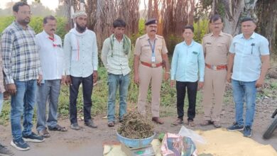 Amalner: सारबेट्याच्या दोघांना गांजा बाळगल्याबद्दल अटक..हेडावे जवळ रचला सापळा ,एनडीपीएस कायद्यानुसार गुन्हा