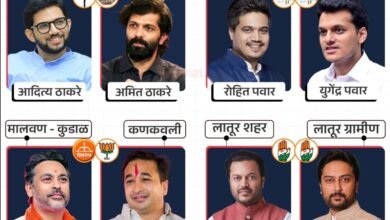 Breaking: रणधुमाळी 2024: यंदाच्या निवडणुकीत भाऊगिरी...! घराणेशाही सुरू...या भावांच्या जोड्या रिंगणात...