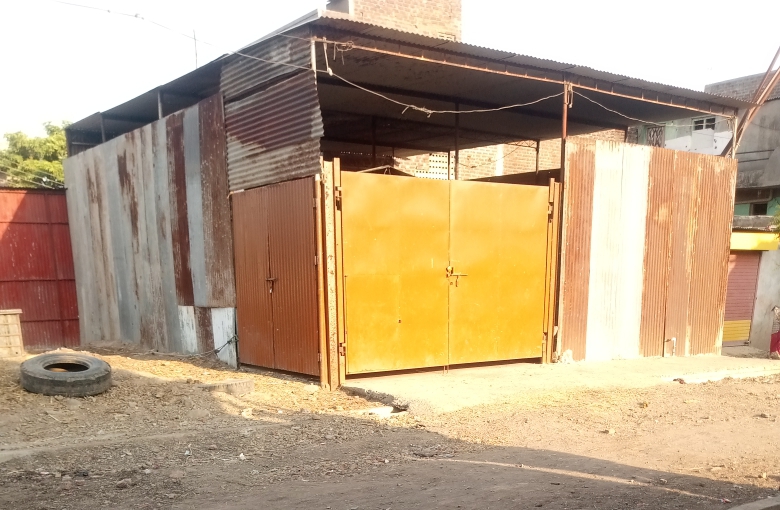 सावद्यात एका पत्री गोडाऊन मध्ये ६ गाई निर्दयीपणे बांधून ठेवल्या प्रकरणी चौघांविरुद्ध गुन्हा दाखल