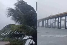 Weather Alert: थंडी कमी होणार.. फेंगल वादळामुळे राज्यात अवकाळी पावसाचा इशारा..