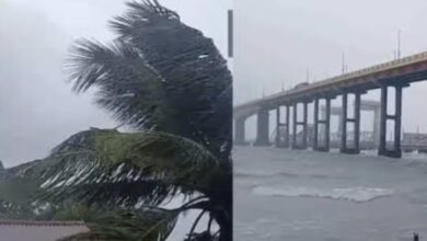 Weather Alert: थंडी कमी होणार.. फेंगल वादळामुळे राज्यात अवकाळी पावसाचा इशारा..